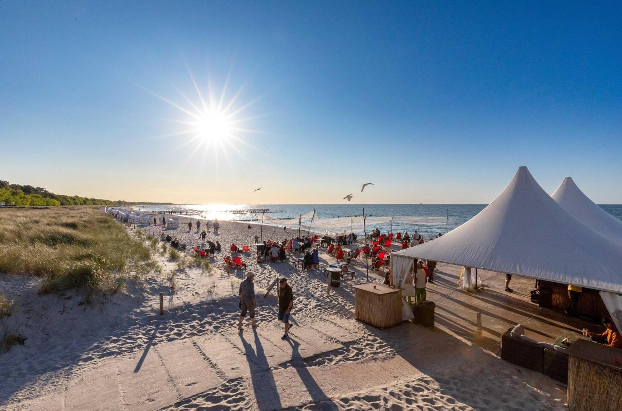 Strandhafer An Der Seebruecke Zingst Luaran gambar