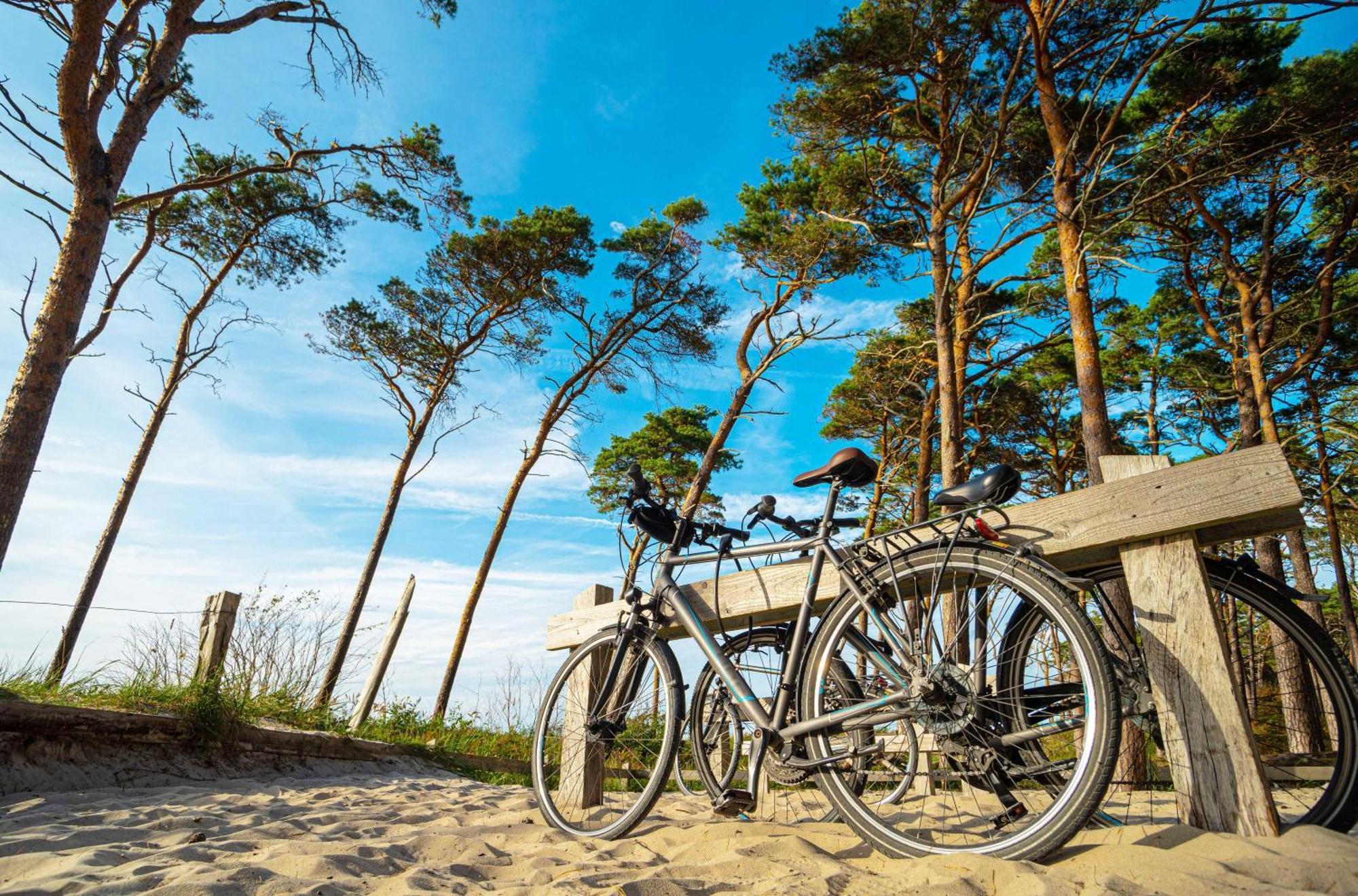 Strandhafer An Der Seebruecke Zingst Luaran gambar