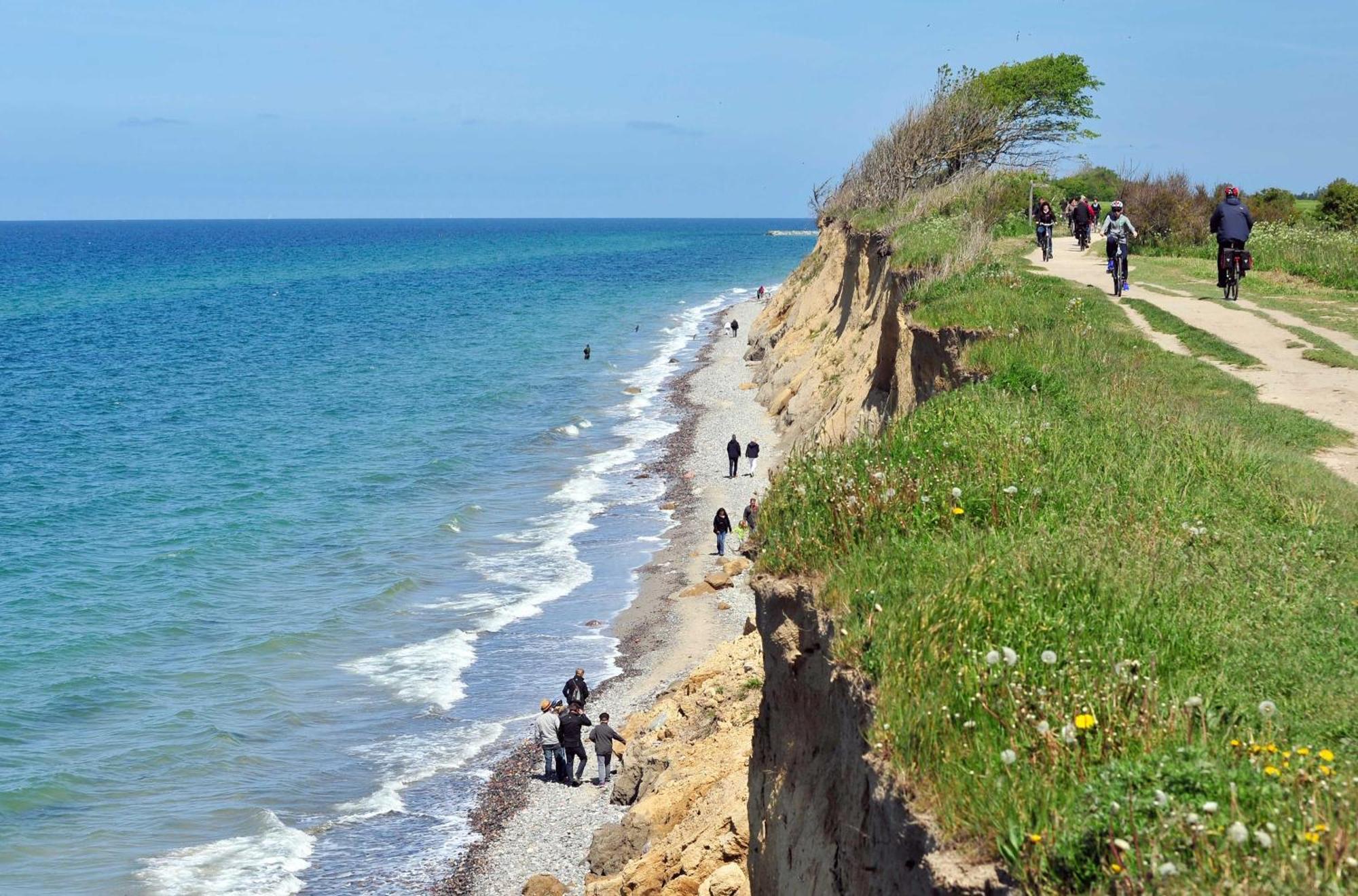 Strandhafer An Der Seebruecke Zingst Luaran gambar